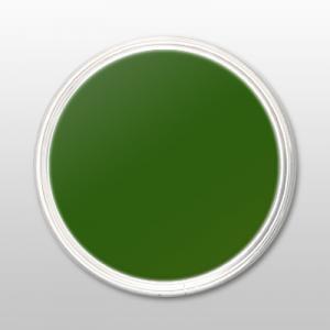 Pudra de portelan colorat 43 green