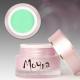 Gel colorat Moyra Excellence No.200 Mint