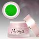 Gel colorat Moyra Excellence No.201 May Green